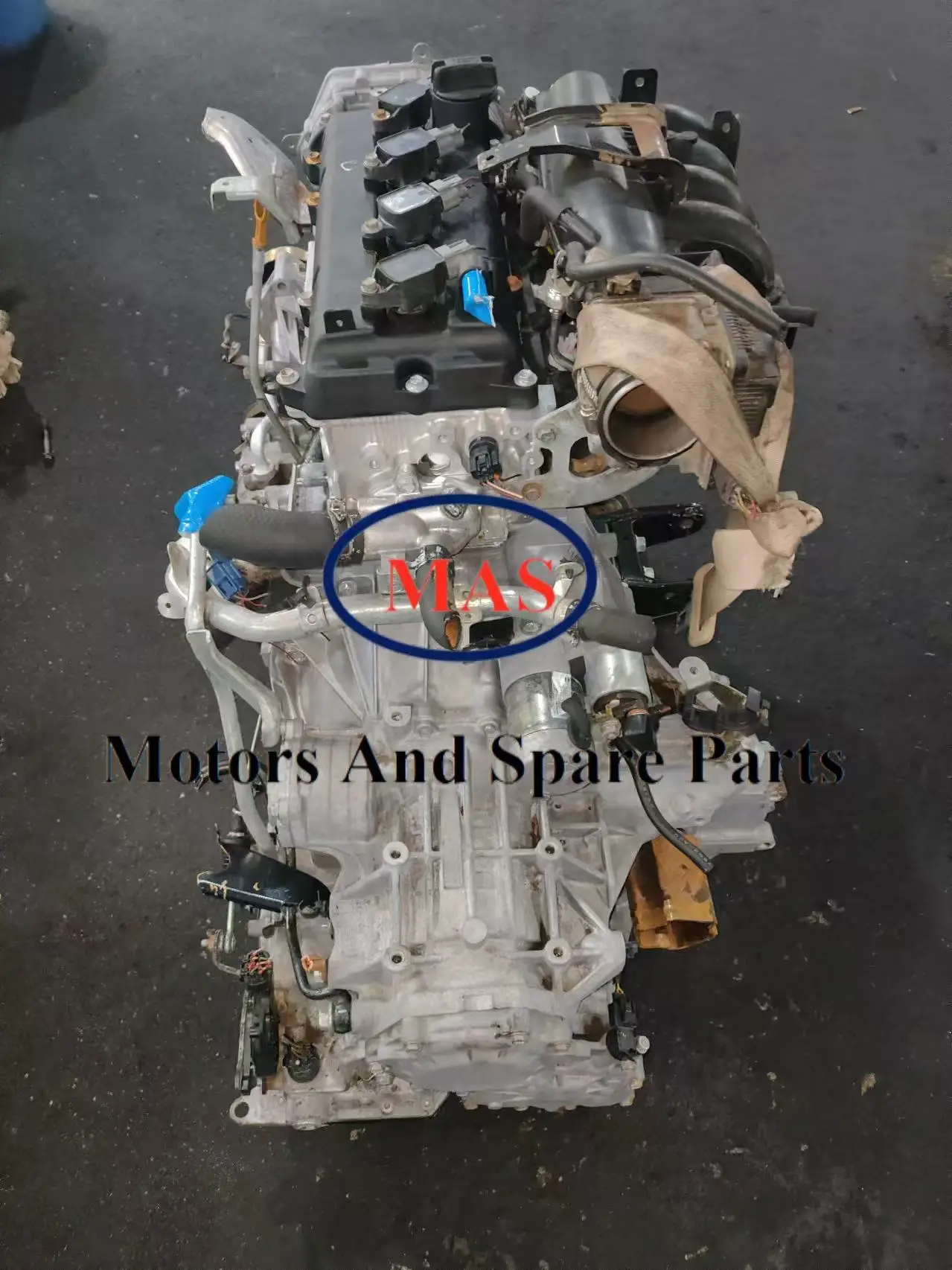 EVNNE パクハンビン 2024シーグリトレカ バラ売 EVNNE