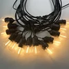Black 5-meter 10 lamp -24V