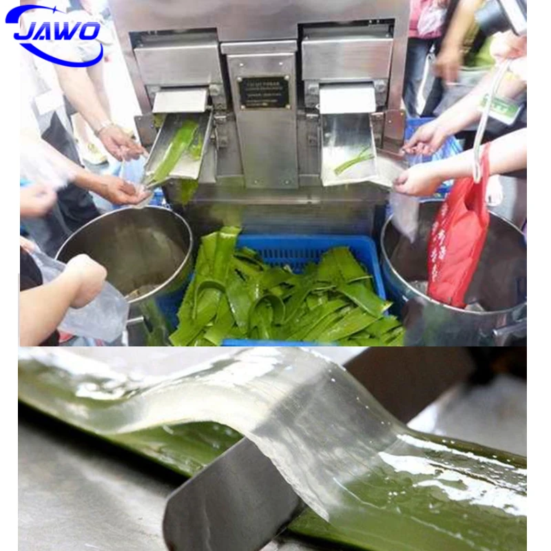 Kommerzielle Aloe-Vera-Maschine Automatische Aloe-Vera-Schlmaschine