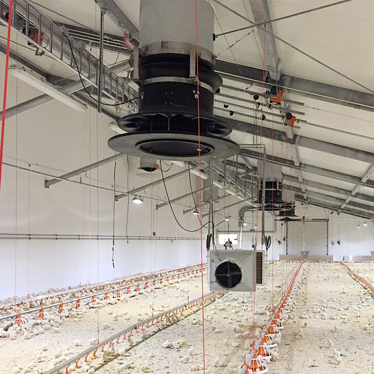 Automatic Controller Economy Broiler House Drinking and Feeding System Poultry Farming Equipment