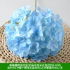 Lollipop hydrangea light blue