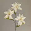 Bulbe de lys-Champagne-66cm