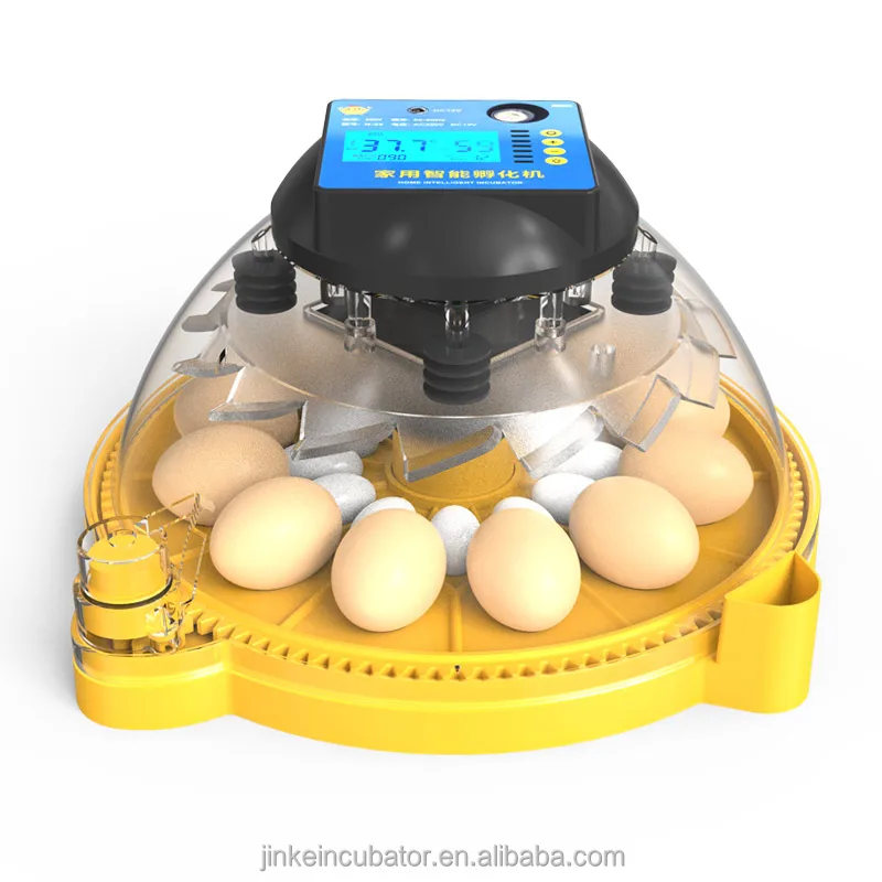 Hatching Chicken12 Eggs Parrot Pigeon Quail Eggs Dc 12v Automatic Turning Brinsea Mini Egg Incubator Buy Egg Incubator Mini Egg Incubator Brinsea Incubator Product On Alibaba Com