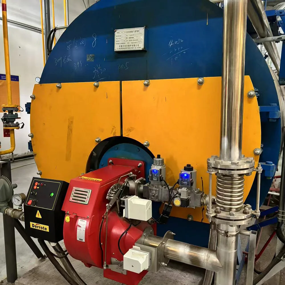 Steam Boiler, Natural Circulation - detail 12