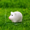 Papa coloré le petit cochon blanc