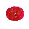 สีแดง