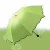 03 verde