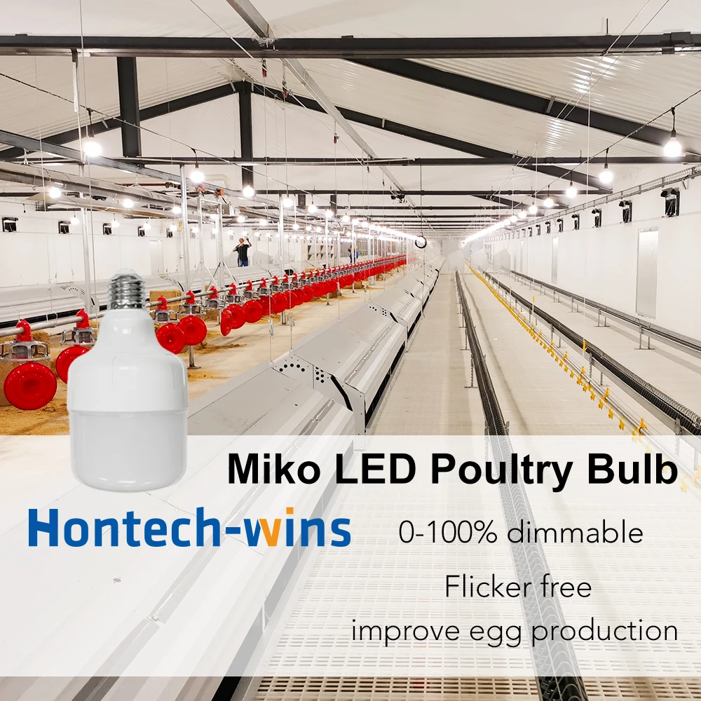 Broiler Poultry Farm Lighting - Flicker Free LED Bulbs