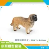 PL127-2390 Maltese Occidental 12g