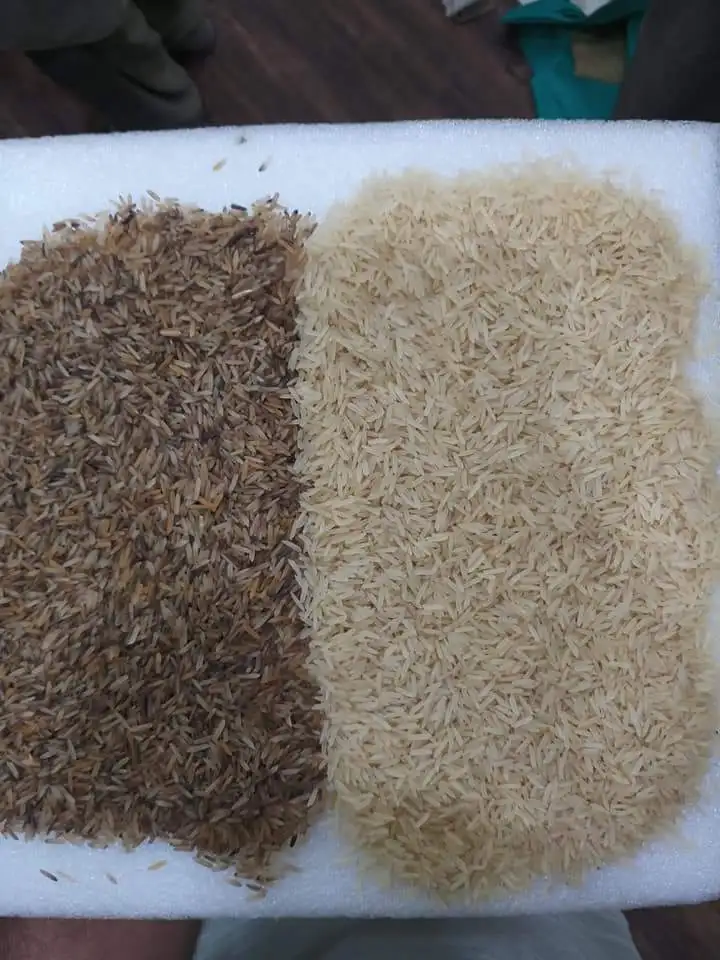 Colour Sorter Machine for Rice Sorting Machine Aso for Recycled Plastic Separator and Grain Colour Sorter