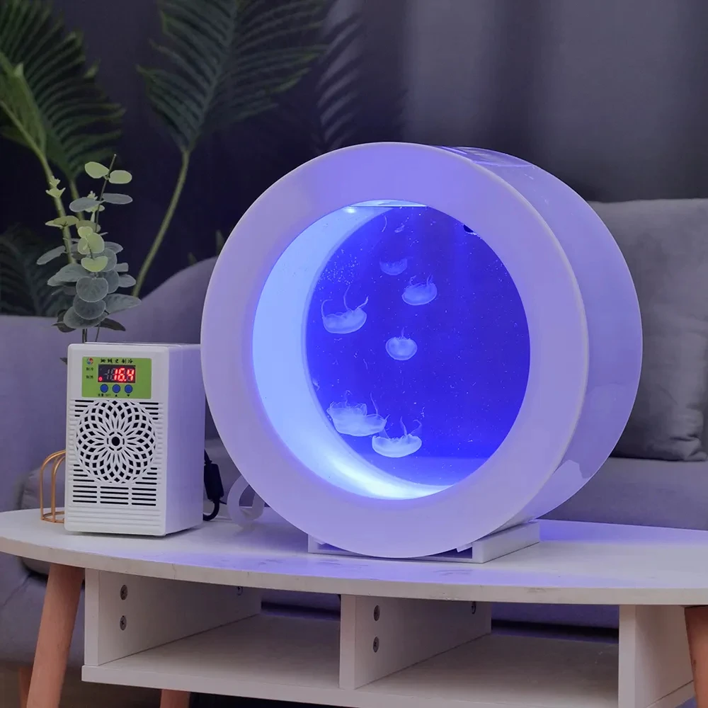 ⭐️ガラスの水族館⭐️箱根ガラス⭐️アクアリウムアート⭐️水泡⭐️ Amazon | 水族館 クリエイティブ 水槽 アクアリウム 丸型 ガラス