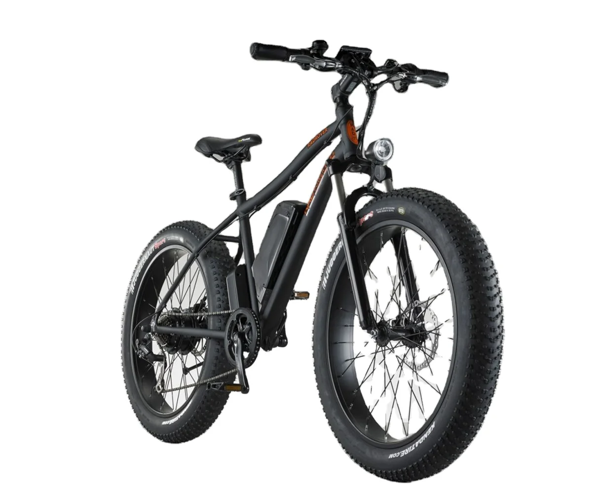 RADMINI Electric Folding fat Bike