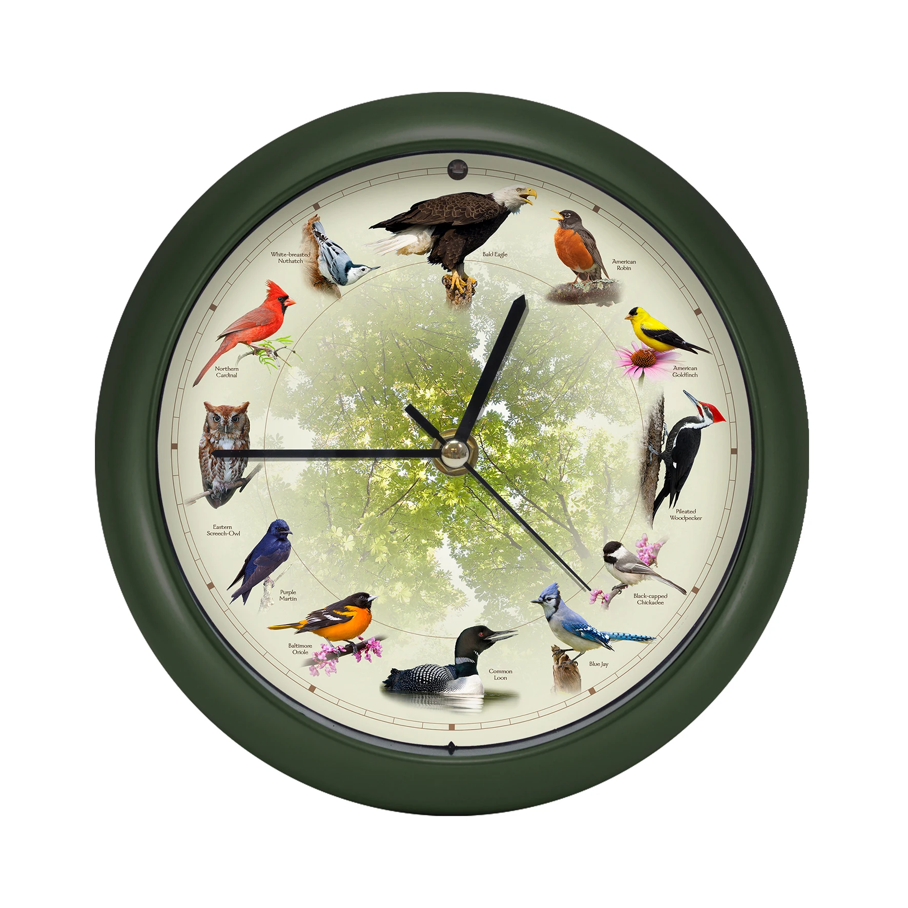 Limited Edition 20th Anniversary Singing Bird 13 Wall Sound Clock