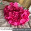 Ramo de hortensias de cinco cabezas ZYGY rosa roja