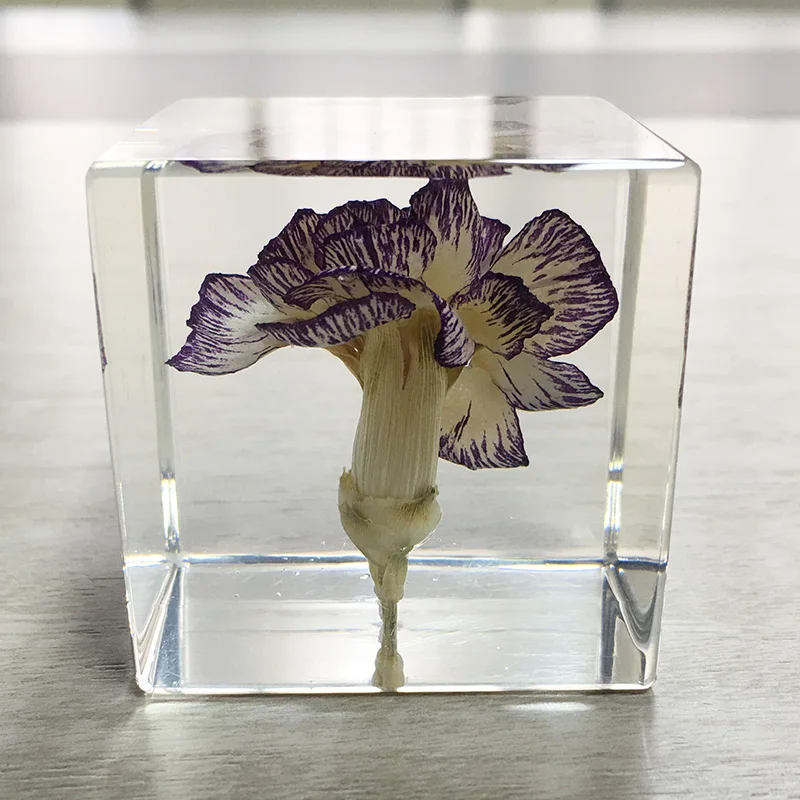 たんぽぽ 花 レジン ハート型タンポポレジン置物 たんぽぽ綿毛 7センチ