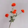 Arancione