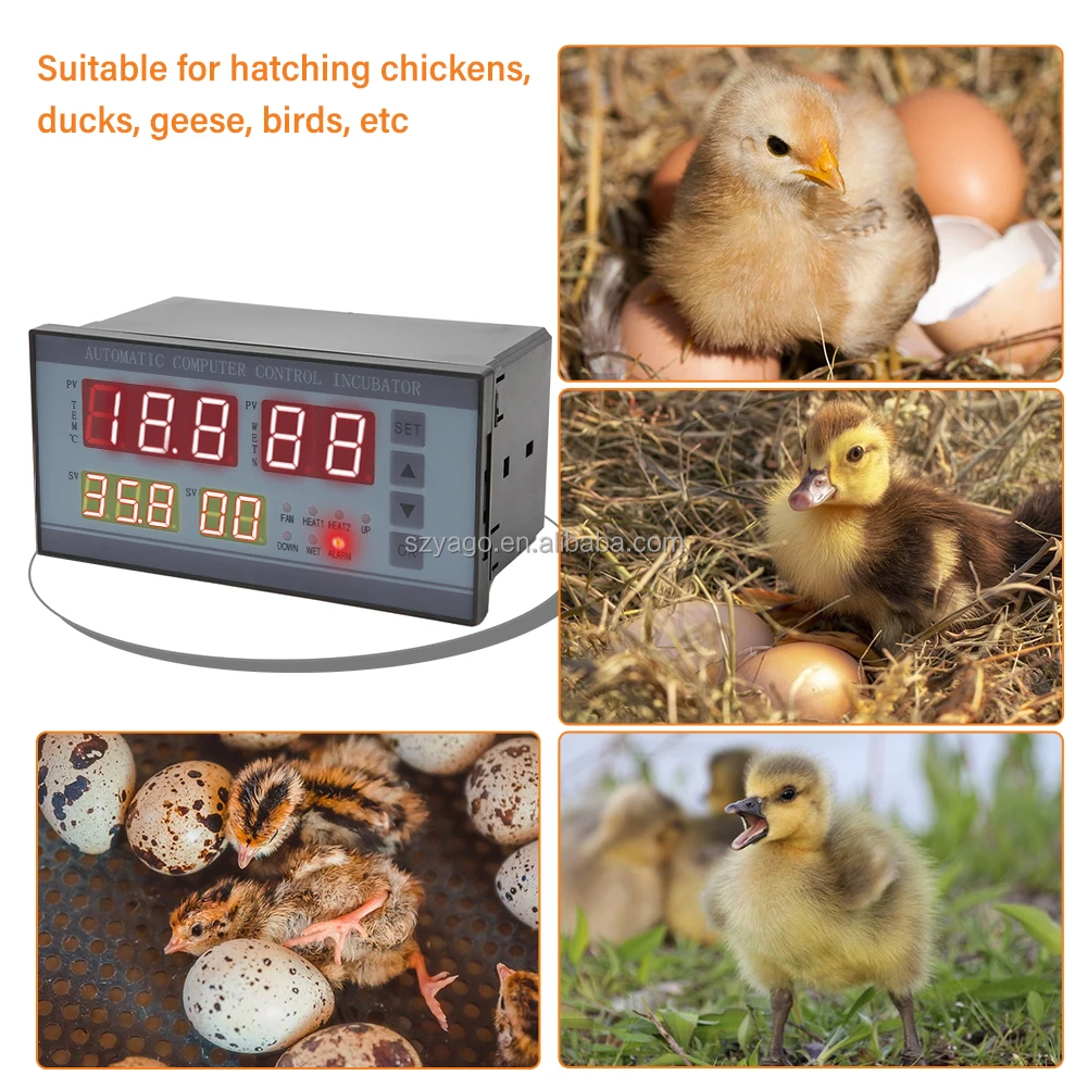 Digital Automatic Small Egg Incubator Thermostat Controller for Humidity and Temperature Controlling XM-18