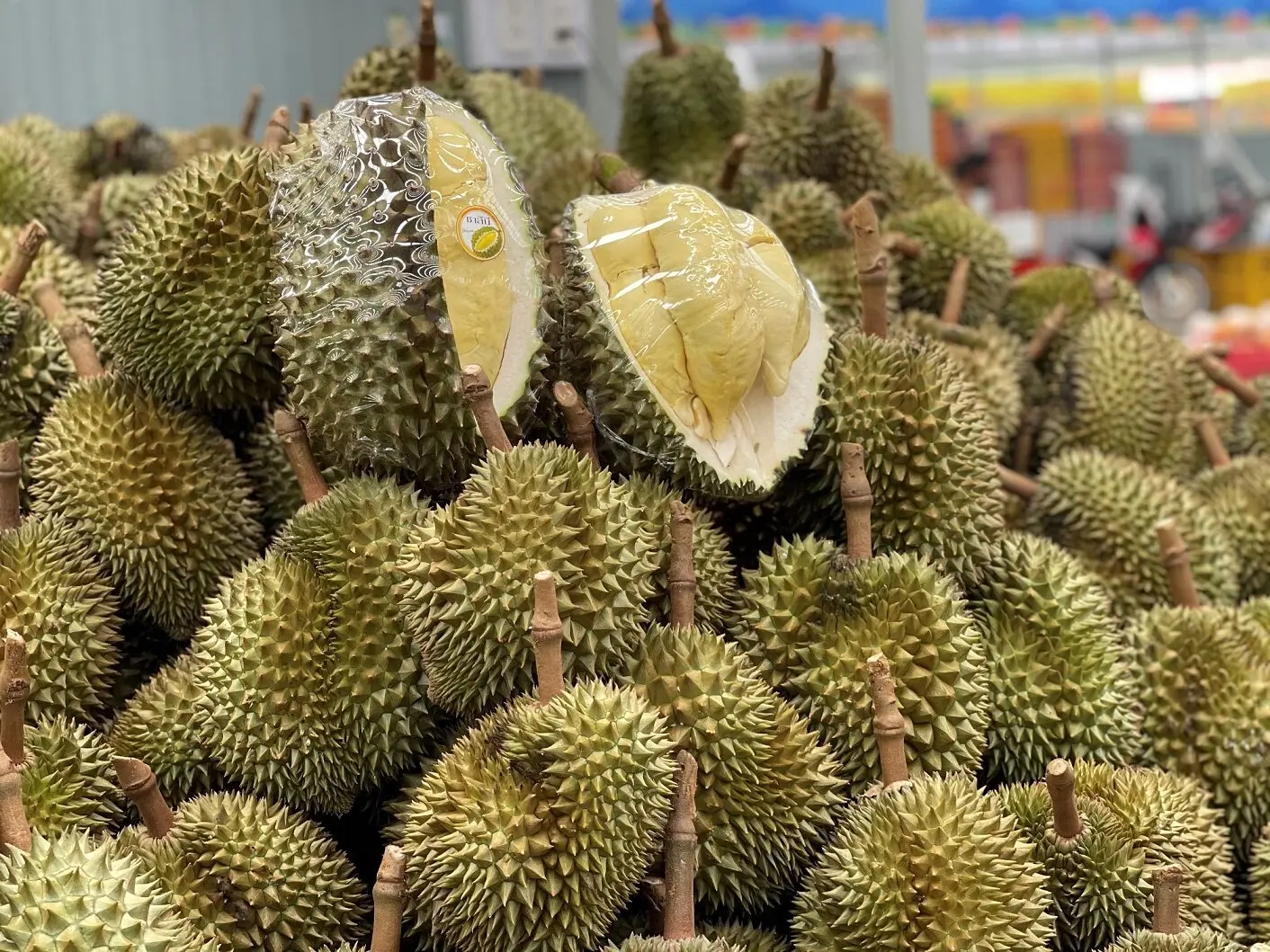 Premium Fresh Durian From Chanthaburi Thailand Fresh Durian Thai Fruit