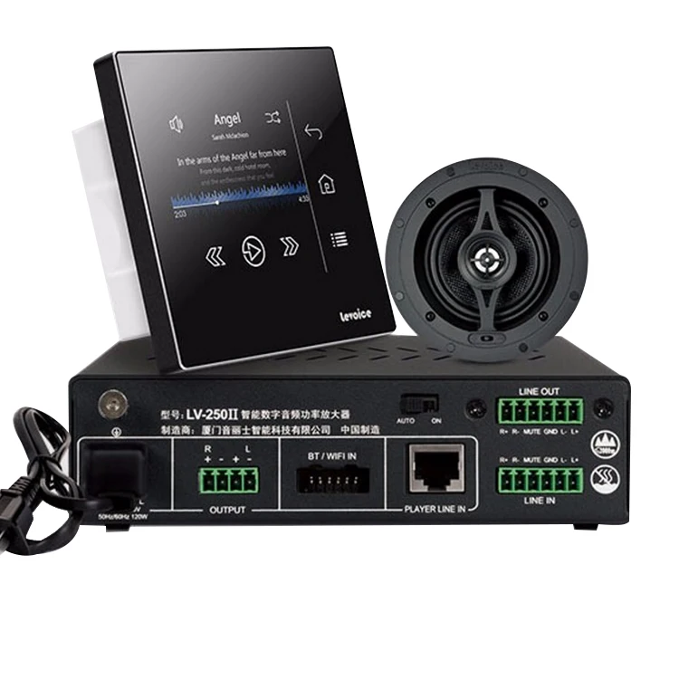 Ceiling speakers for music Clearance