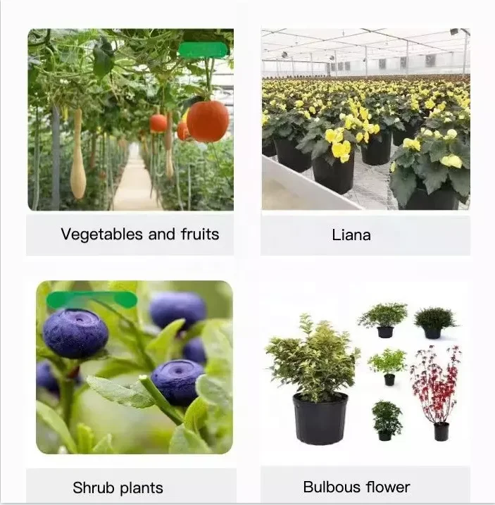 Plastic PP HDPE Black 1 Gallon Nursery Plant Planter Pots for Garden ...