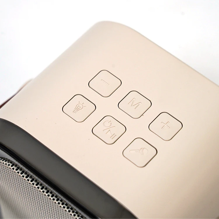 Worthy Mini Portable Karaoke Speaker with Wireless Microphone and Colorful Lights for Kids Adults Metal Active RGB