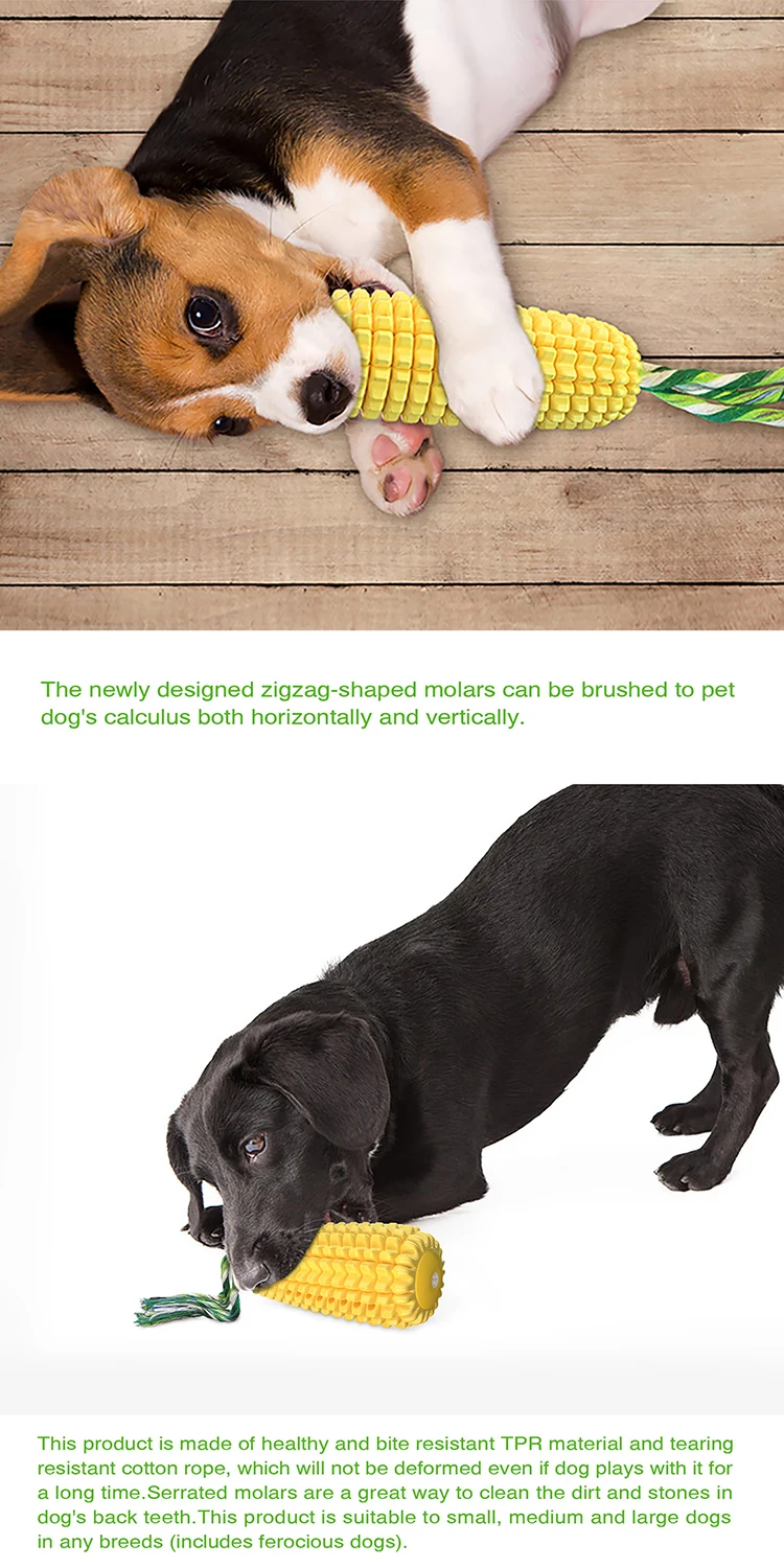  (4).jpg