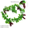 Grapevines (large fruit)