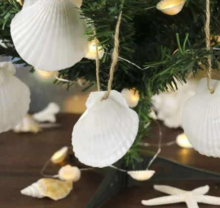 12 Conchiglie Di Capesante Bianche 9-10 Cm | Decorazioni Naturali Per Artigianato E Feste