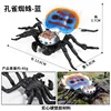 2879 Peacock Spider (azul)