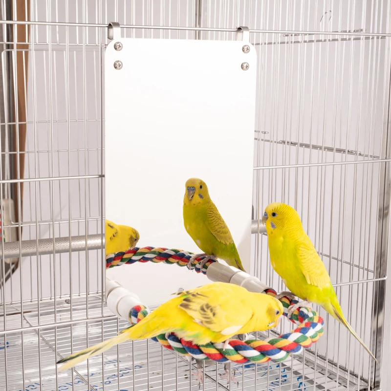 Cockatiel Hanging Swing Toys Parrot Cage Toys for Parakeet Cockatoo Cockatiel Conure Lovebirds Finch Canaries APHISM Bird Mirror with Rope Perch