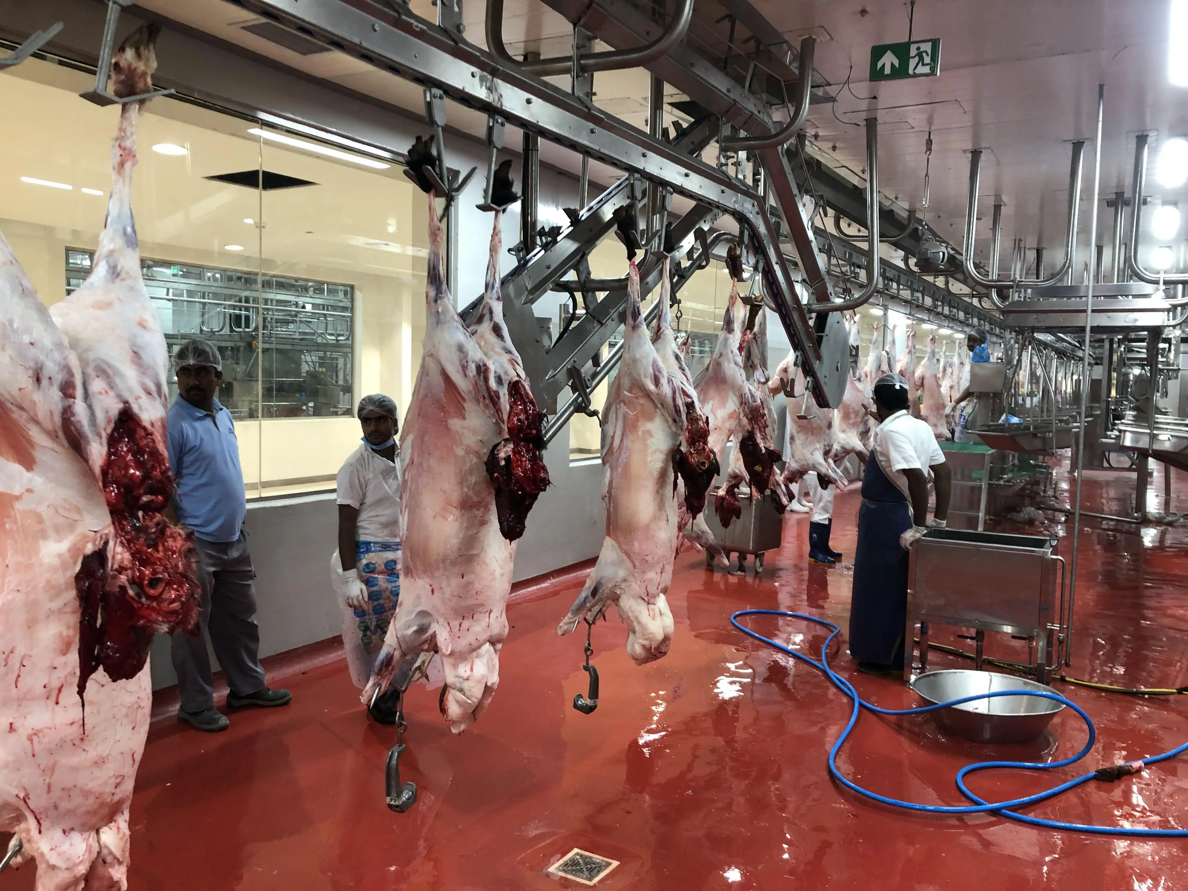 أبواب غرف التبريد التجارية أبواب الغرف الباردة المعزولة الموردين المباشرين لتخزين المواد الغذائية واللحوم