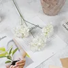 A white branch