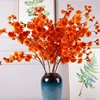 Chrysanthème