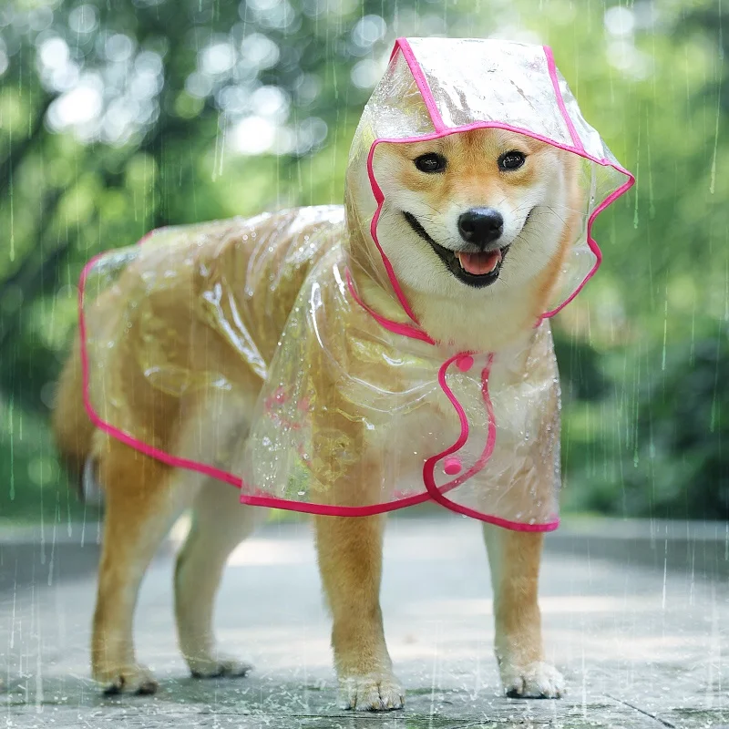 small dog raincoat