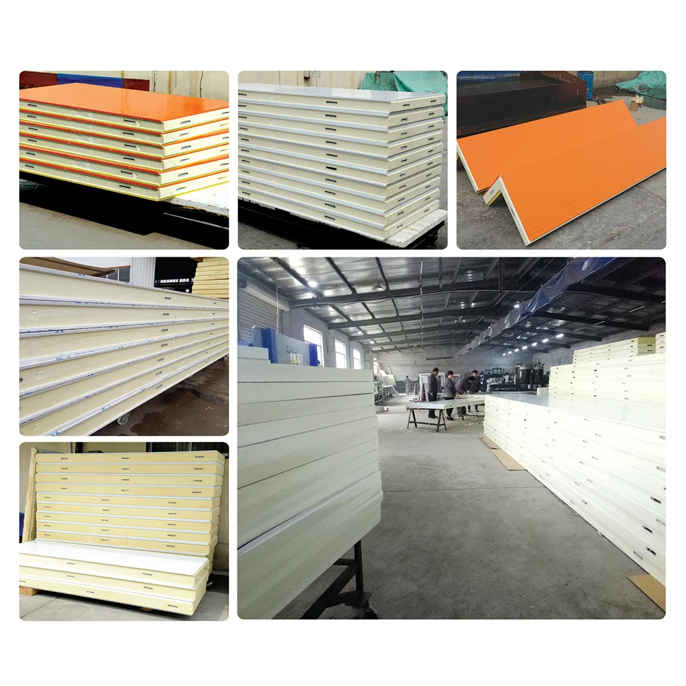 Automatic Cold Store Chilling Store PU Hinge Door Industrial Walk in Freezer Vegetable Cooler Modular