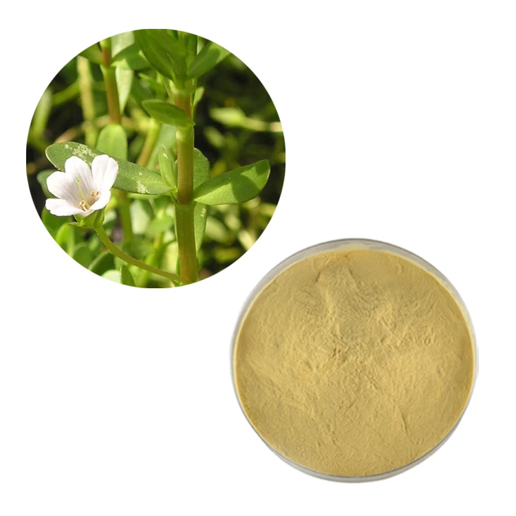 Экстракт бакопа монье. Экстракт бакопа монье сухой. Экстракт бакопа монье. Bacopa monnieri. Bacopa ноотроп.