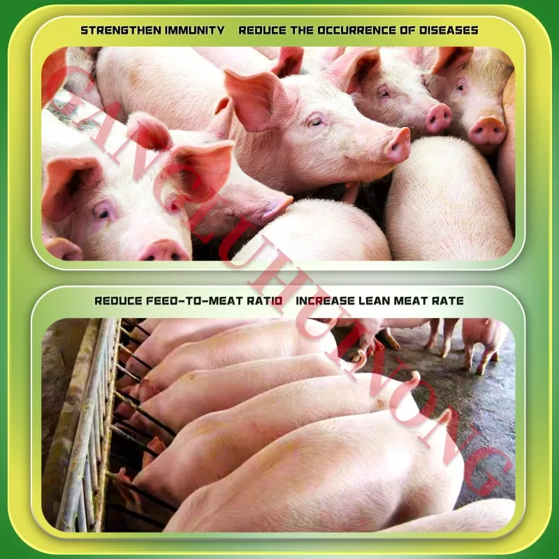 Pig Growth Weight Gain Booster Swine Feed Supplement Pork Meat Enhancer Livestock Feed Additives Animal Vitamin Weight Promoter