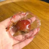 lychee