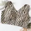 zebra-stripe