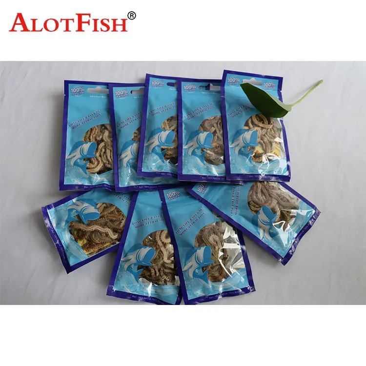 Sandworm Freeze Dried Lugworm Fishing Bait For Fishing Big Fish Lugworm