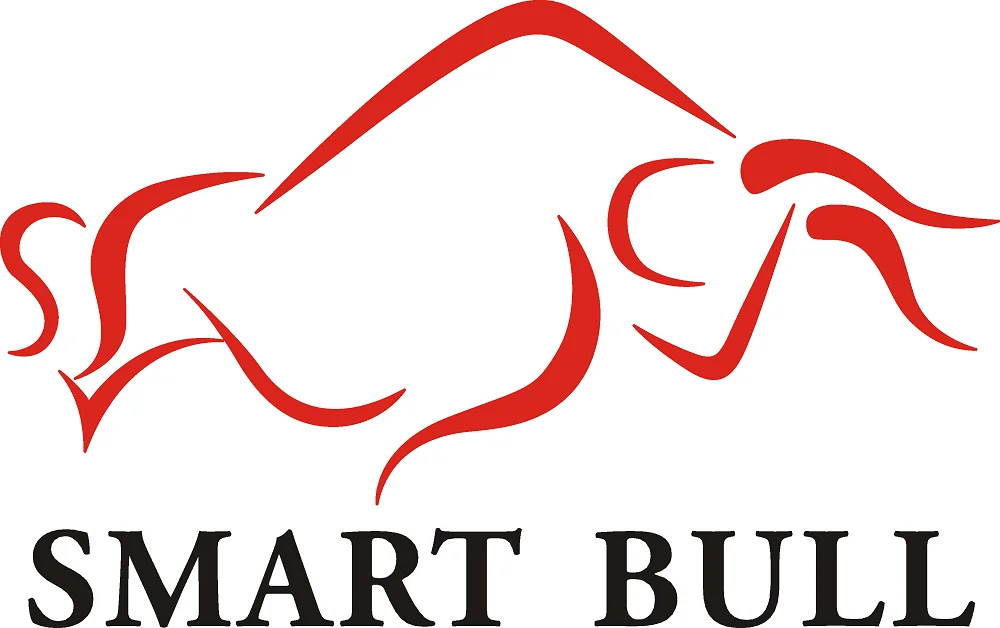 Company Overview - Hangzhou Smartbull Industry Co., Ltd.