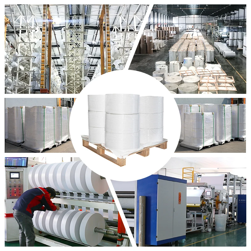 75um 95um TOP Direct Transparent PET Thermal Synthetic PP White Matte Label Film Materials Self Adhesive Label Printing Paper