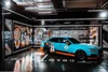 Gulf Dog
