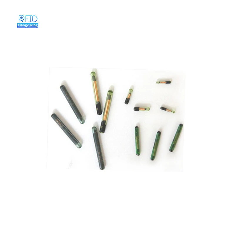 Programmable RFID Nfc Transponder Pet Rfid Animal Microchip Glass Tube 125Khz RFID Glass Tag