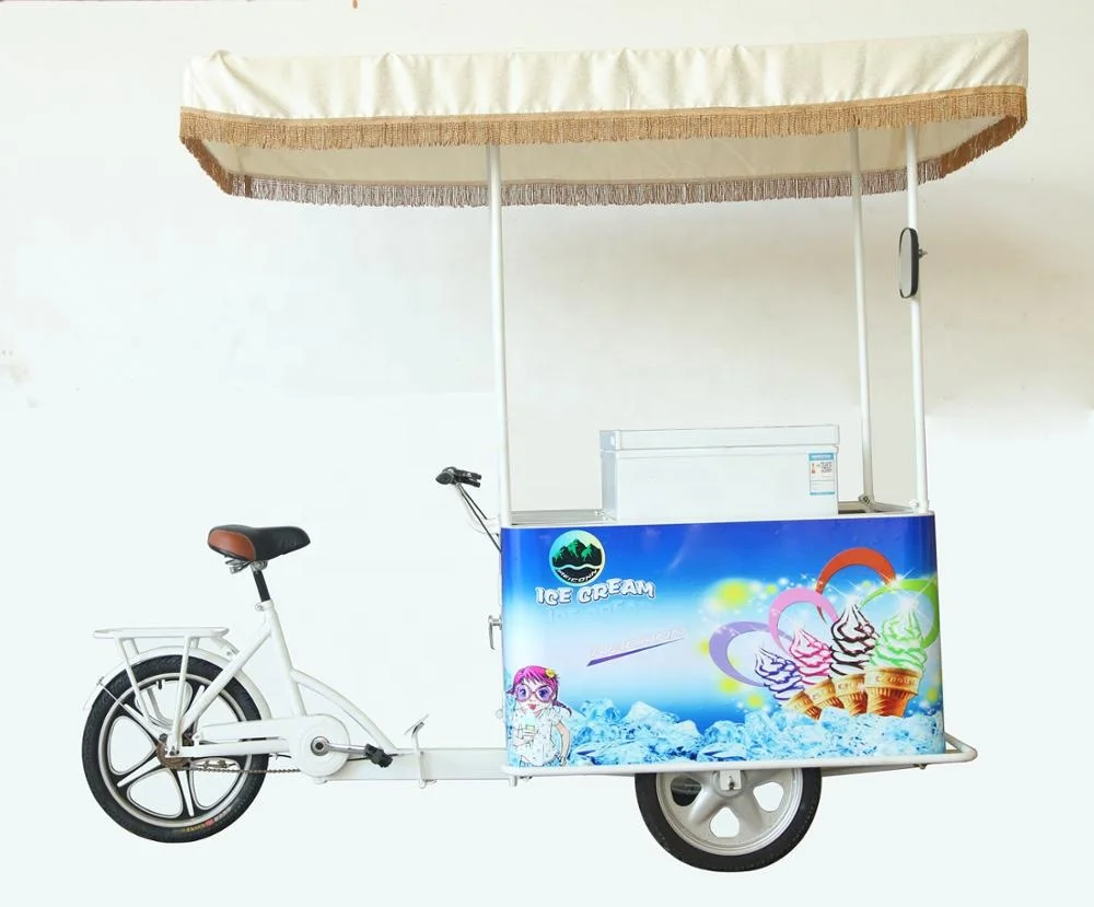 adult cargo tricycle