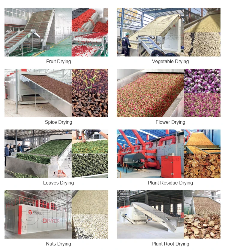 Automatic Stainless Steel Sea Vegetable Mesh Belt Dryer Pump High Efficiency Low Consumption Food Processing Seaweed Drying