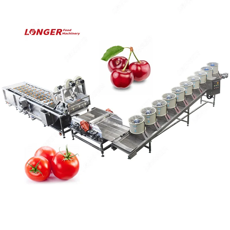 Industrial Rambutan Washing Sorting Drying Machine Clean Date Wash and Dry Production Line