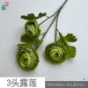 ดอกบัวน้ำค้าง 3 หัว สีเขียว HN