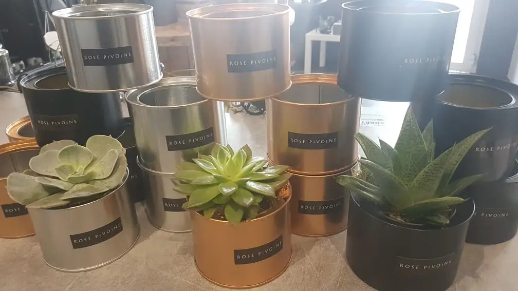 Wholesale Custom Empty Desktop Steel Small Metal Mini Metal Plant Cactus Pot