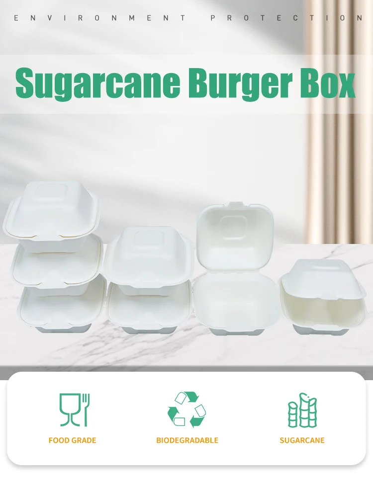 Disposable Sugarcane Food Containers Biodegradable 6 Inch Bagasse ...